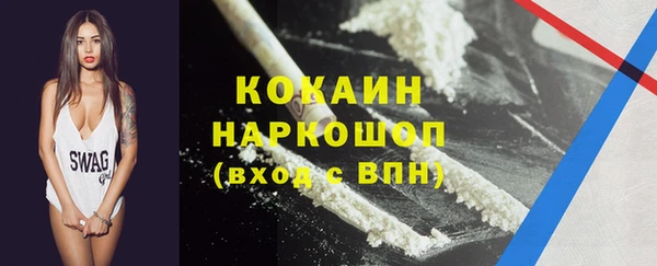 стаф Арсеньев