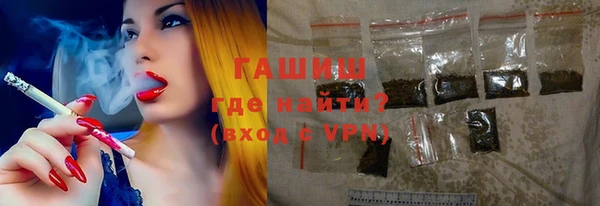 стаф Арсеньев