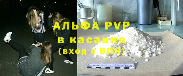 стаф Арсеньев